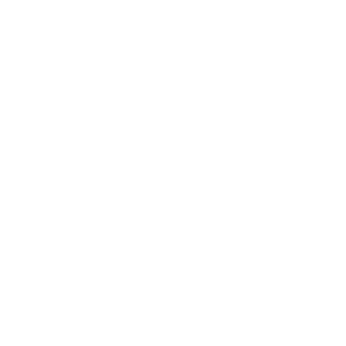 Pasha